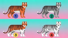 Test sorprendente: scegli una tigre e scopri il tuo principale punto di forza