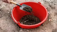 Perché interrare un secchio in mezzo all’aiuola: il trucco del giardiniere che pochi conoscono