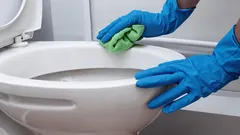 Nessun prodotto ha mai pulito così bene: il WC è diventato bianco come la neve