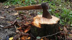 Come rimuovere un ceppo senza pala né macchinari: un metodo semplice che in pochi conoscono